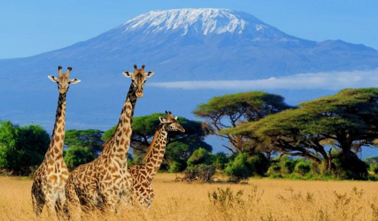 ofertas viajes Kenia Agosto
