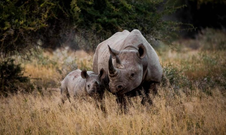 ofertas viajes Sudáfrica Diciembre